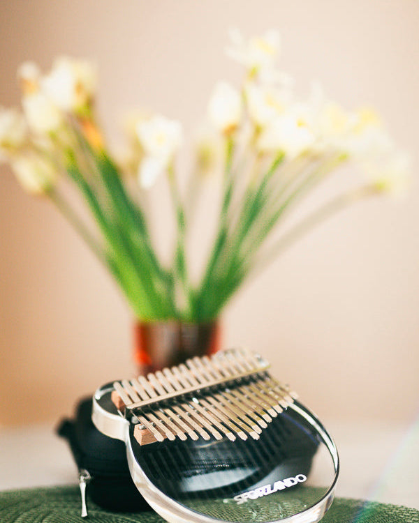 17-Key Acrylic Bear Kalimba