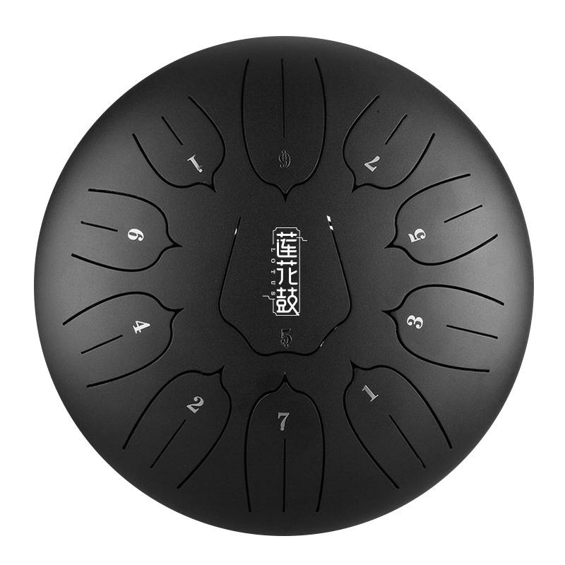 ZVANGA Lotus Tongue Drum 10" Charcoal, 11 Notes, D Major