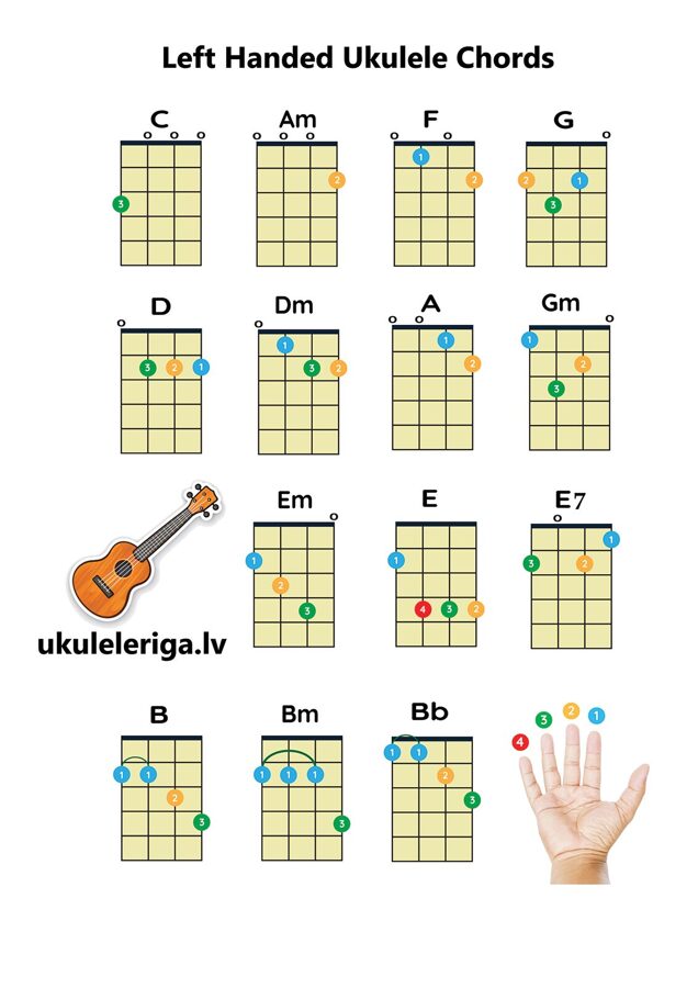 AKORDU LAPA UKULELE Printed A5