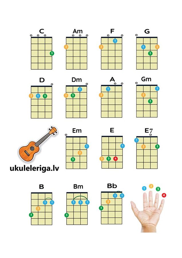 AKORDU LAPA UKULELE Printed A5